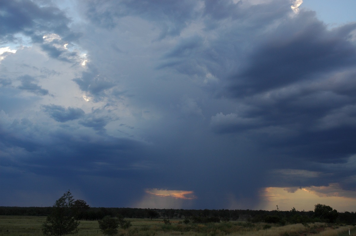 raincascade precipitation_cascade : near Bonshaw, NSW   4 February 2006