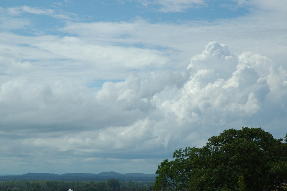 cumulus congestus : near Grafton, NSW   12 February 2006