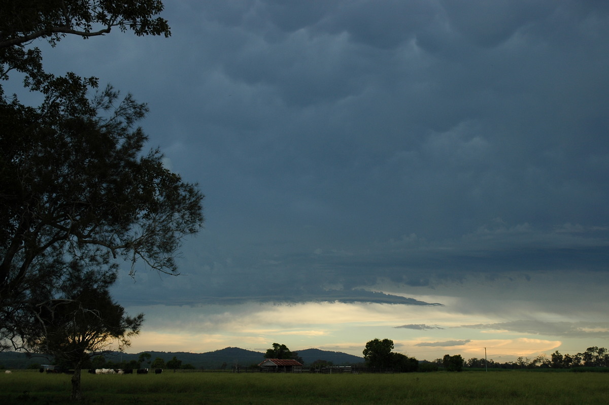 mammatus mammatus_cloud : near Maclean, NSW   13 February 2006