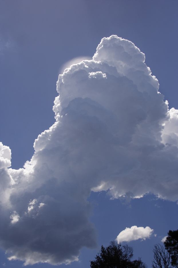 cumulus congestus : Kurrajong Heights, NSW   18 February 2006