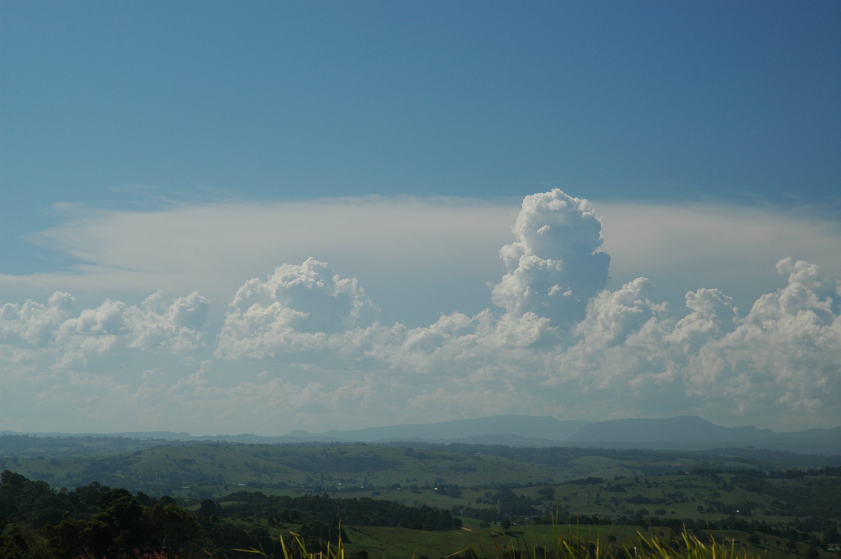 cumulus congestus : McLeans Ridges, NSW   18 February 2006