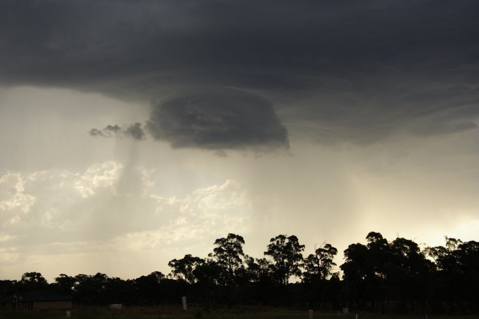 raincascade precipitation_cascade : Greta East, NSW   19 February 2006