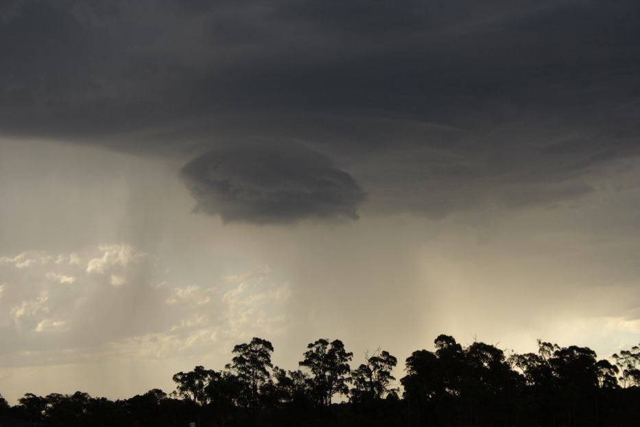 cumulonimbus thunderstorm_base : Greta East, NSW   19 February 2006