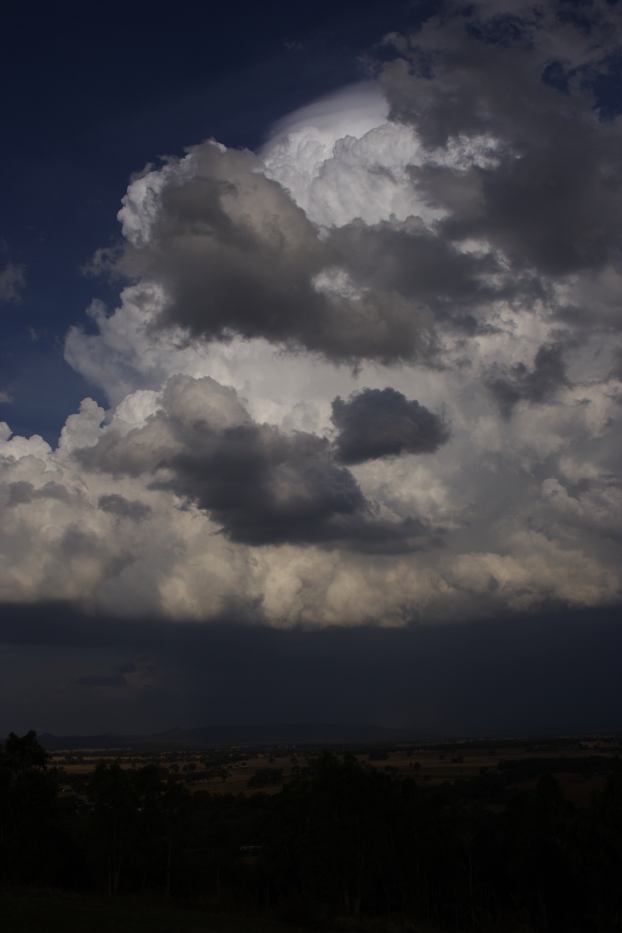 thunderstorm cumulonimbus_incus : Gulgong, NSW   20 February 2006