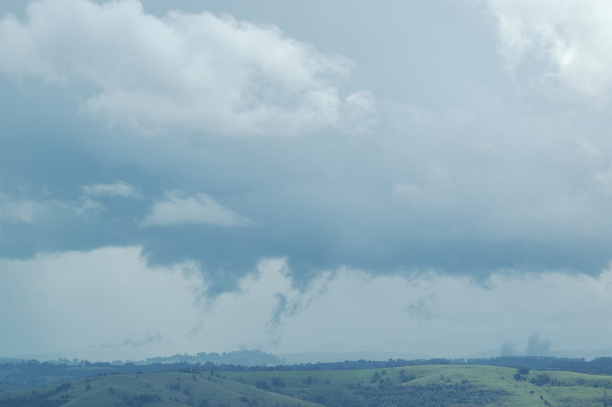 cumulonimbus thunderstorm_base : McLeans Ridges, NSW   21 February 2006