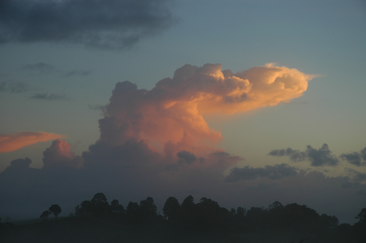 anvil thunderstorm_anvils : McLeans Ridges, NSW   22 February 2006