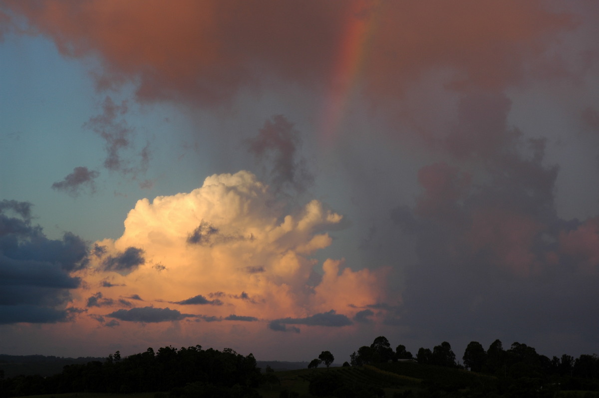 thunderstorm cumulonimbus_calvus : McLeans Ridges, NSW   22 February 2006