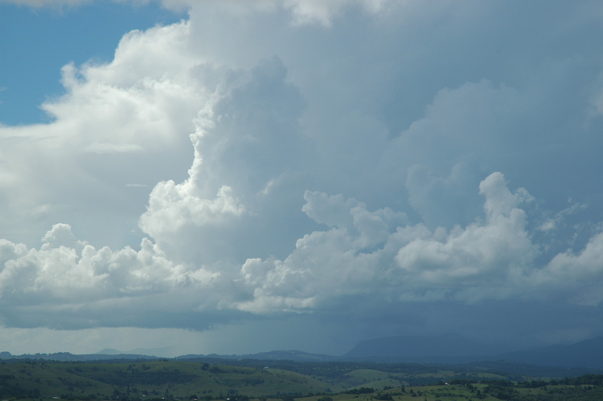 updraft thunderstorm_updrafts : McLeans Ridges, NSW   26 February 2006