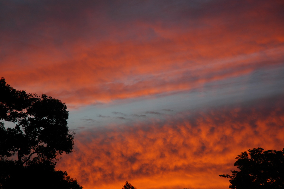 sunset sunset_pictures : McLeans Ridges, NSW   9 March 2006