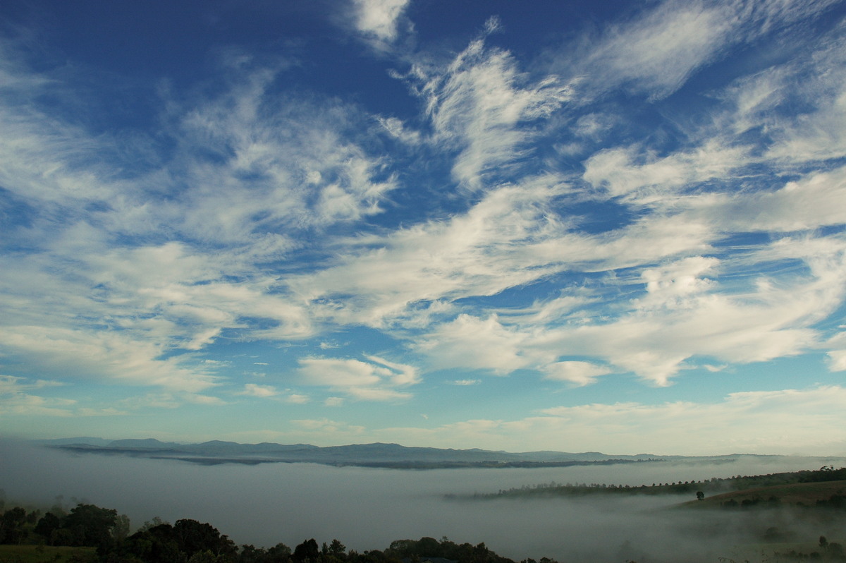 favourites michael_bath : McLeans Ridges, NSW   28 March 2006