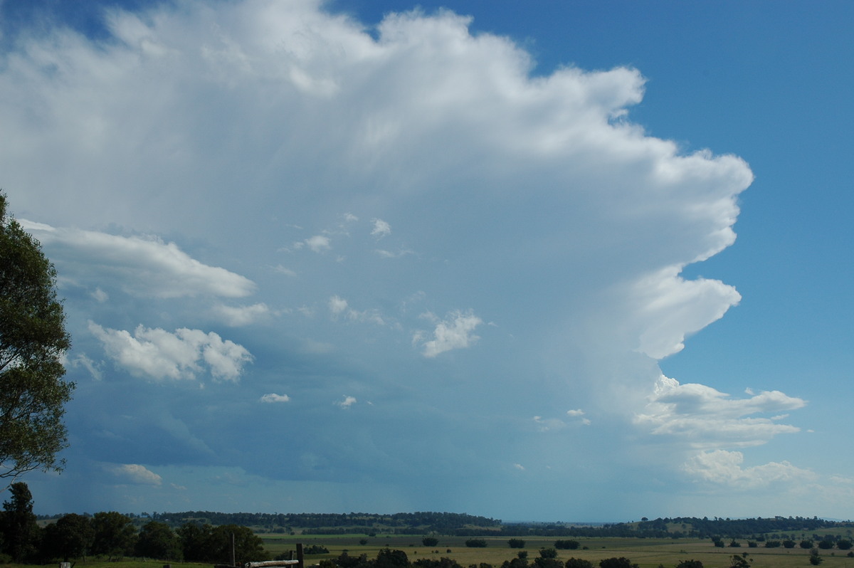 thunderstorm cumulonimbus_incus : Tregeagle, NSW   4 April 2006