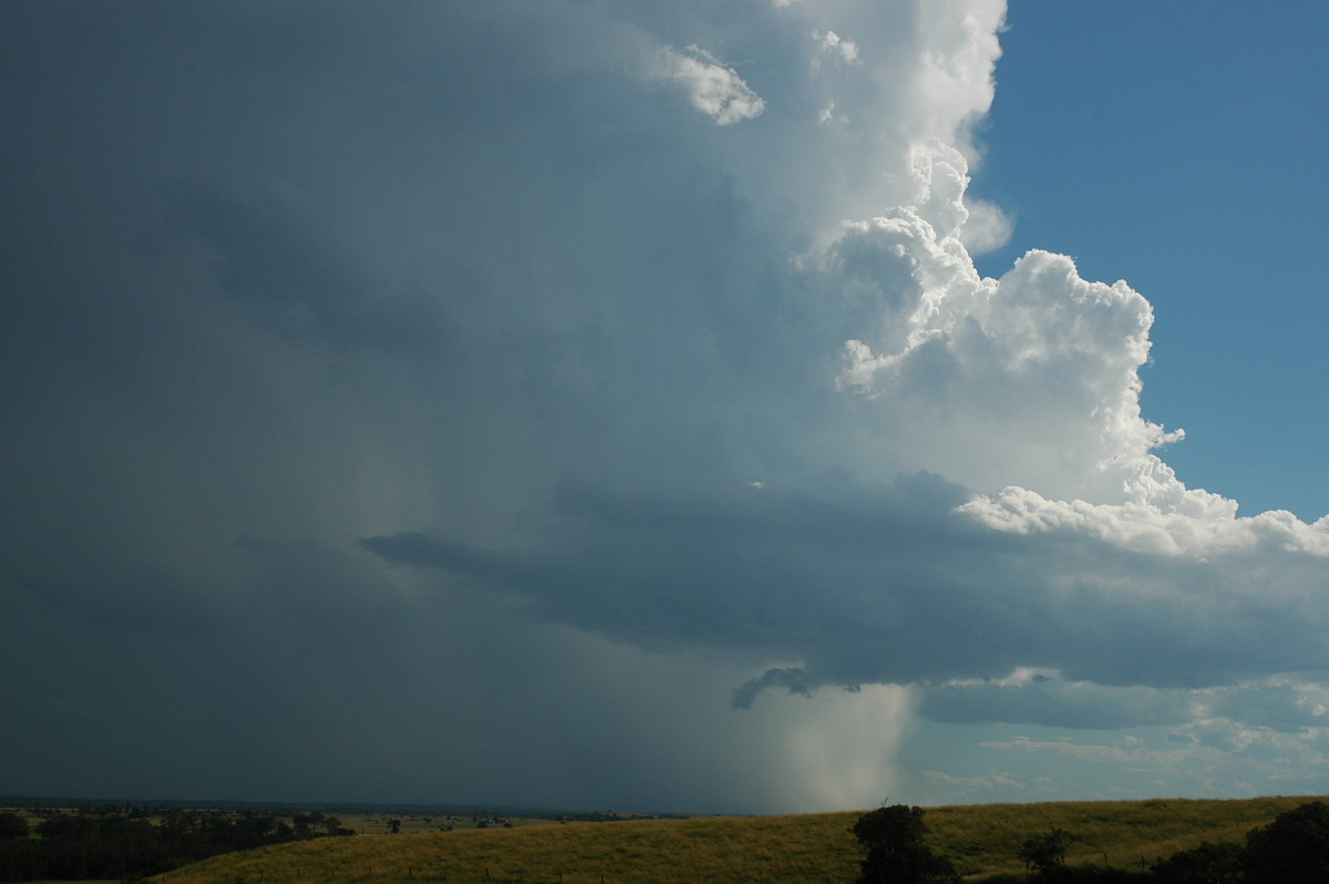 updraft thunderstorm_updrafts : Parrots Nest, NSW   4 April 2006