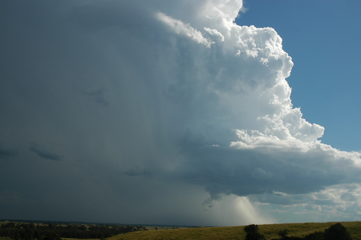 updraft thunderstorm_updrafts : Parrots Nest, NSW   4 April 2006