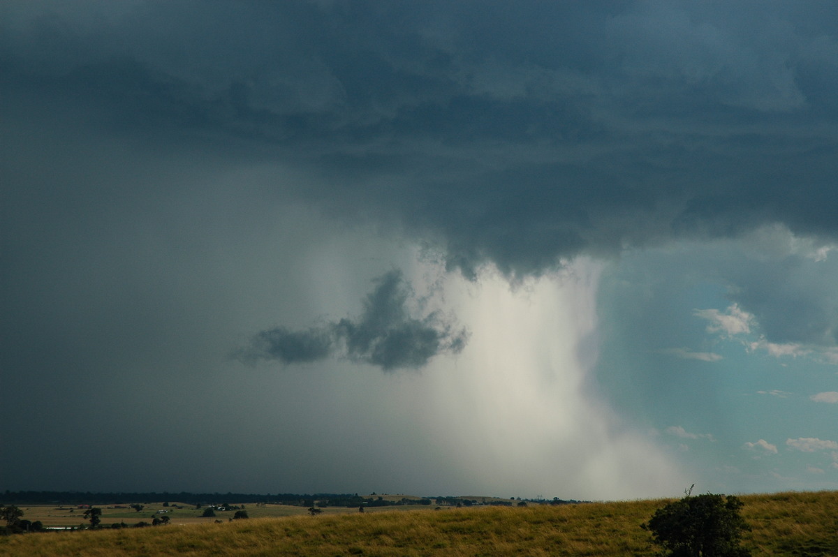 wallcloud thunderstorm_wall_cloud : Parrots Nest, NSW   4 April 2006