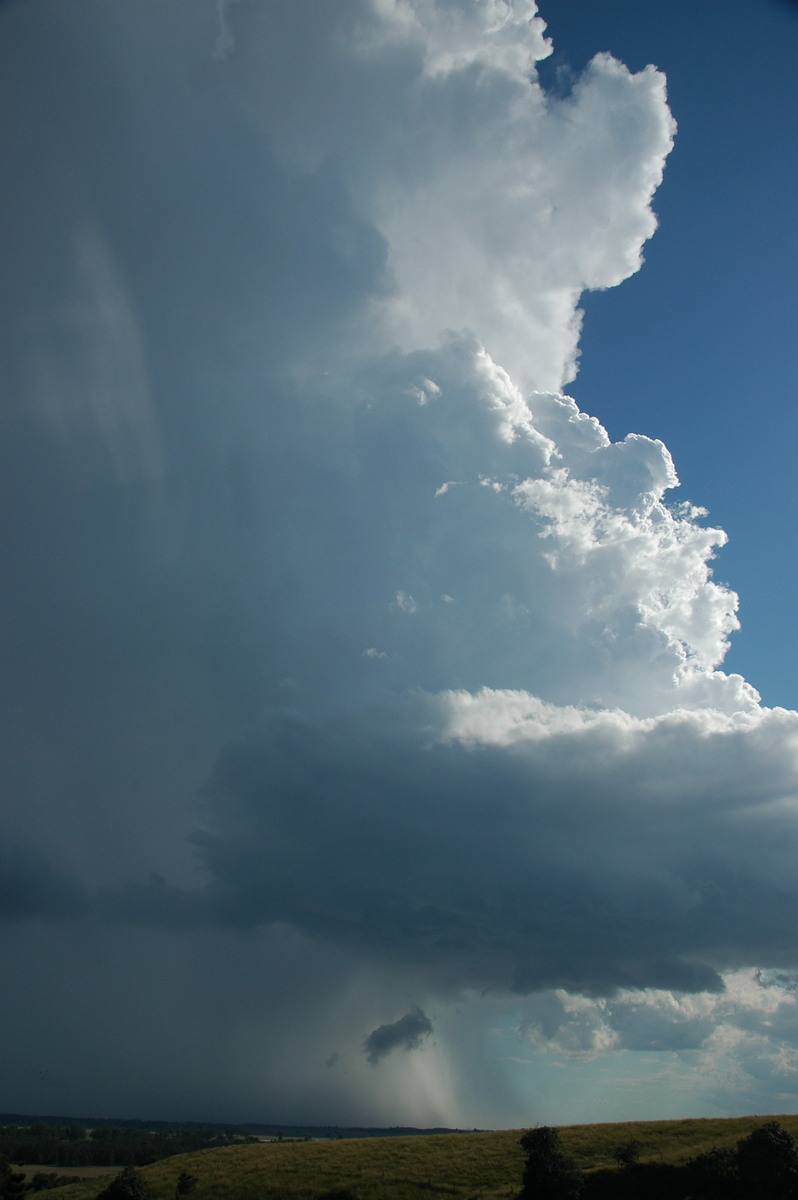 updraft thunderstorm_updrafts : Parrots Nest, NSW   4 April 2006