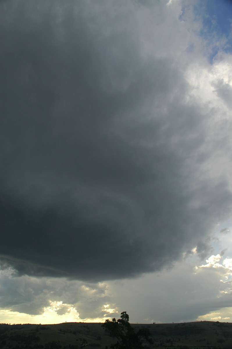 cumulonimbus thunderstorm_base : near Lismore, NSW   4 April 2006