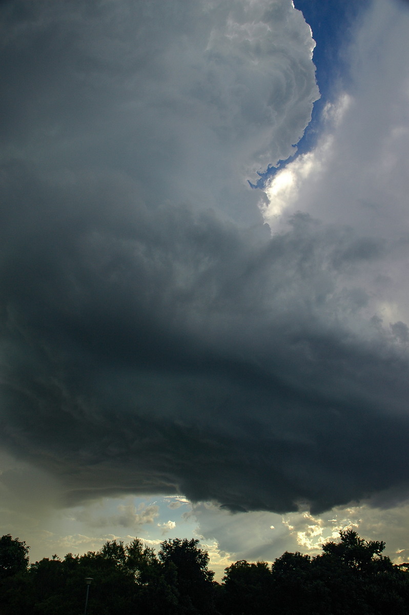 updraft thunderstorm_updrafts : Clunes, NSW   4 April 2006