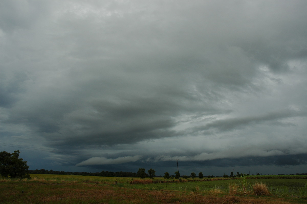 shelfcloud shelf_cloud : Tregeagle, NSW   5 April 2006