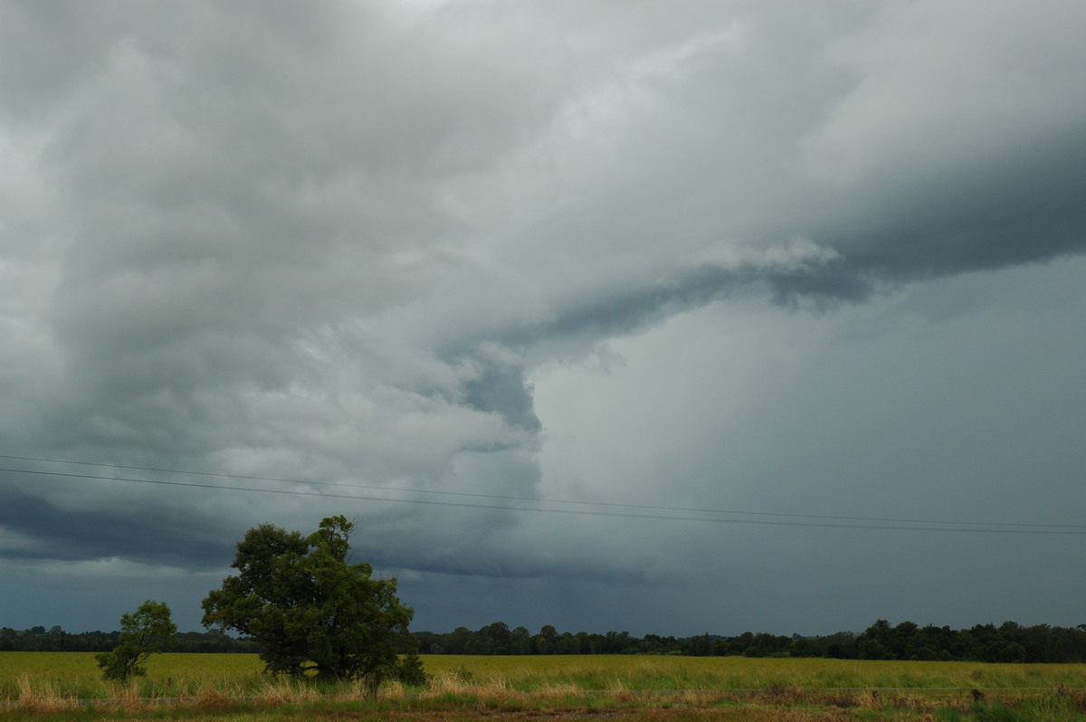 cumulonimbus thunderstorm_base : Tregeagle, NSW   5 April 2006