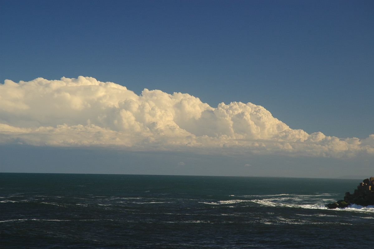 thunderstorm cumulonimbus_calvus : Ballina, NSW   15 April 2006