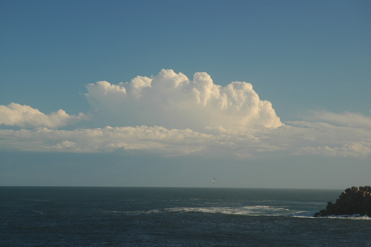 thunderstorm cumulonimbus_calvus : Ballina, NSW   15 April 2006