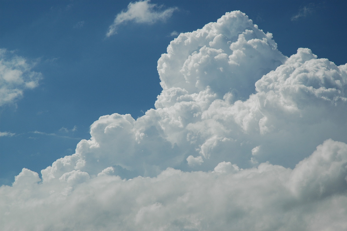 cumulus congestus : McLeans Ridges, NSW   21 April 2006