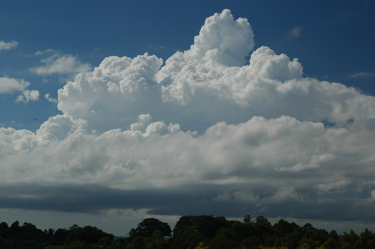 cumulus congestus : McLeans Ridges, NSW   21 April 2006