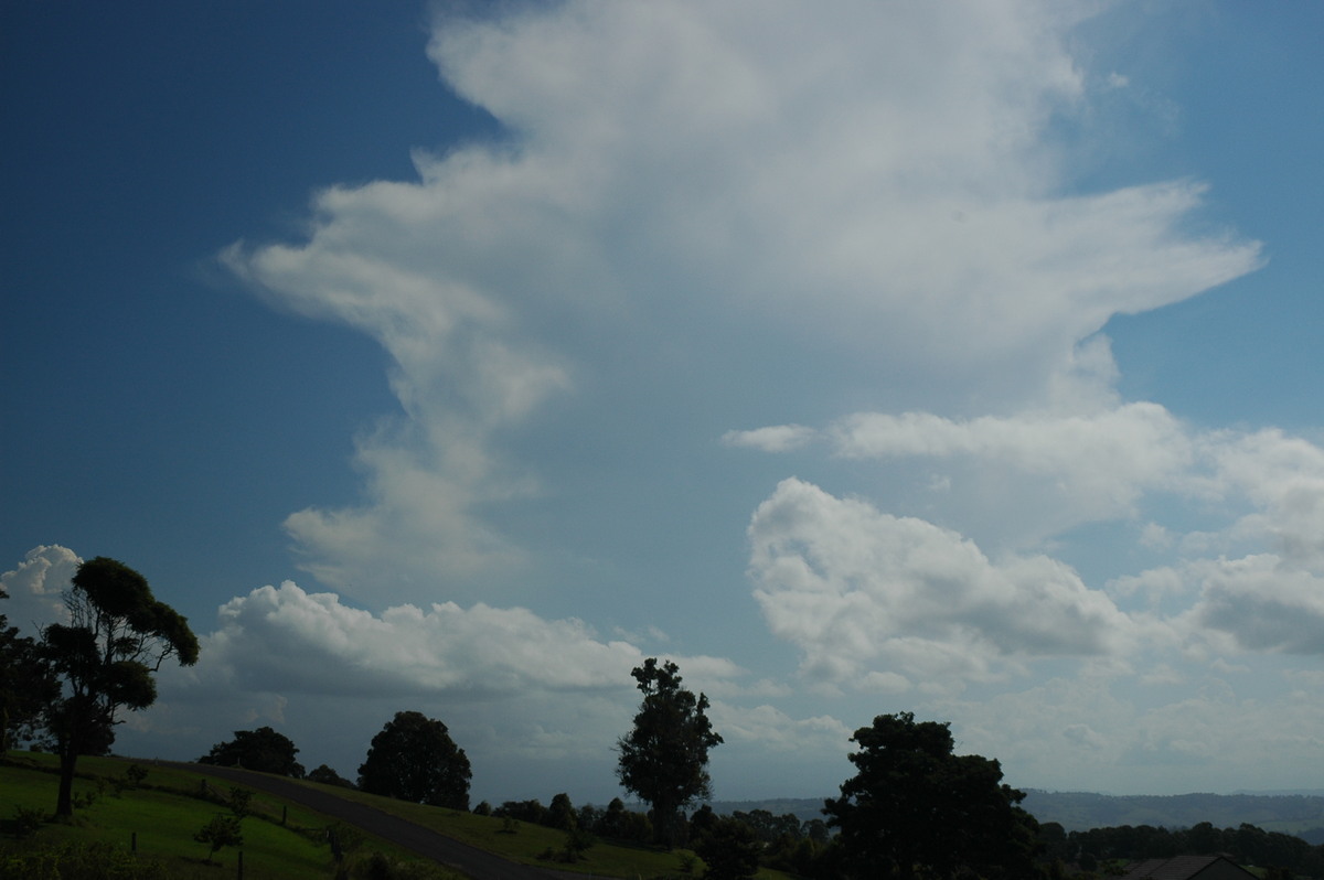 anvil thunderstorm_anvils : McLeans Ridges, NSW   21 April 2006