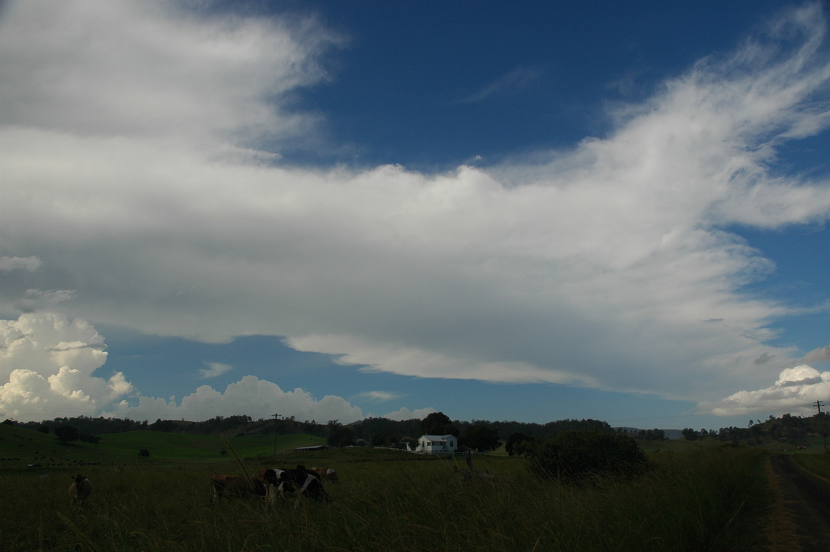 anvil thunderstorm_anvils : near Kyogle, NSW   21 April 2006