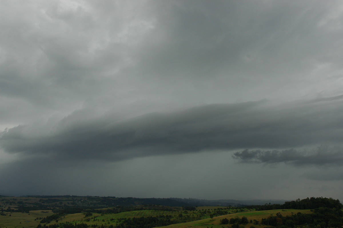 stratus stratus_cloud : McLeans Ridges, NSW   30 April 2006