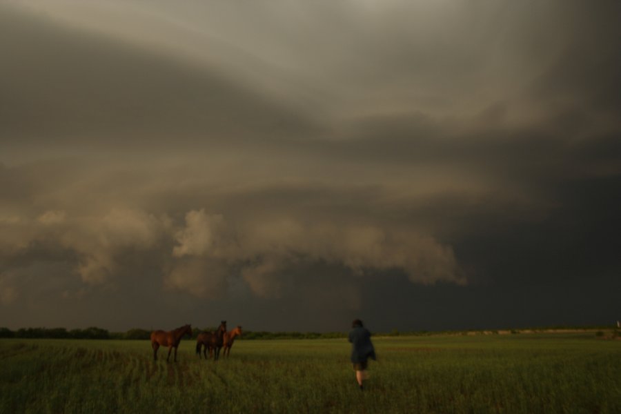 wallcloud thunderstorm_wall_cloud : Jayton, Texas, USA   3 May 2006