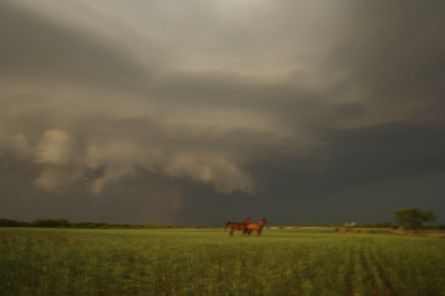 shelfcloud shelf_cloud : Jayton, Texas, USA   3 May 2006