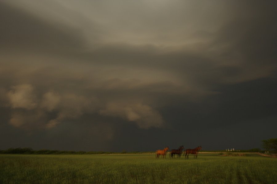 wallcloud thunderstorm_wall_cloud : Jayton, Texas, USA   3 May 2006