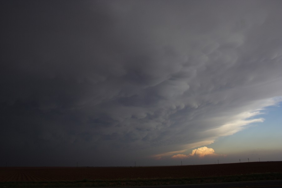 mammatus mammatus_cloud : Patricia, Texas, USA   5 May 2006