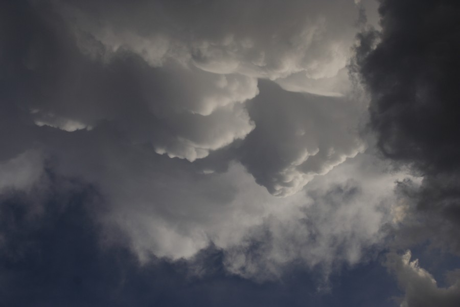 cumulonimbus supercell_thunderstorm : Patricia, Texas, USA   5 May 2006