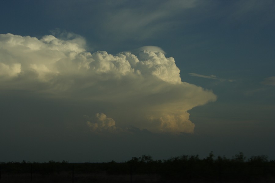 thunderstorm cumulonimbus_incus : S of Lamesa, Texas, USA   7 May 2006