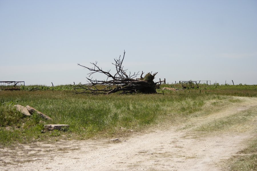 disasters storm_damage : Westminster, Texas, USA   12 May 2006