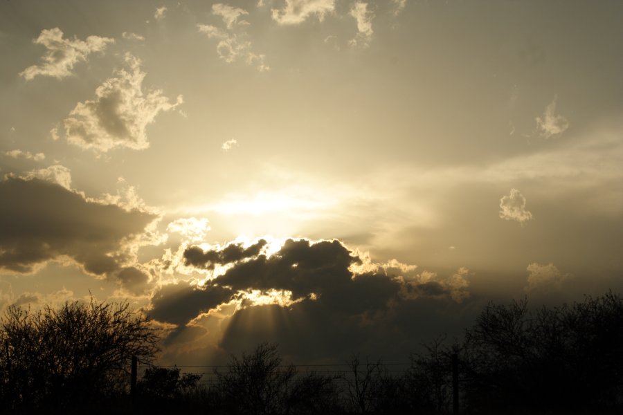 cumulus humilis : Del Rio, Texas, USA   14 May 2006