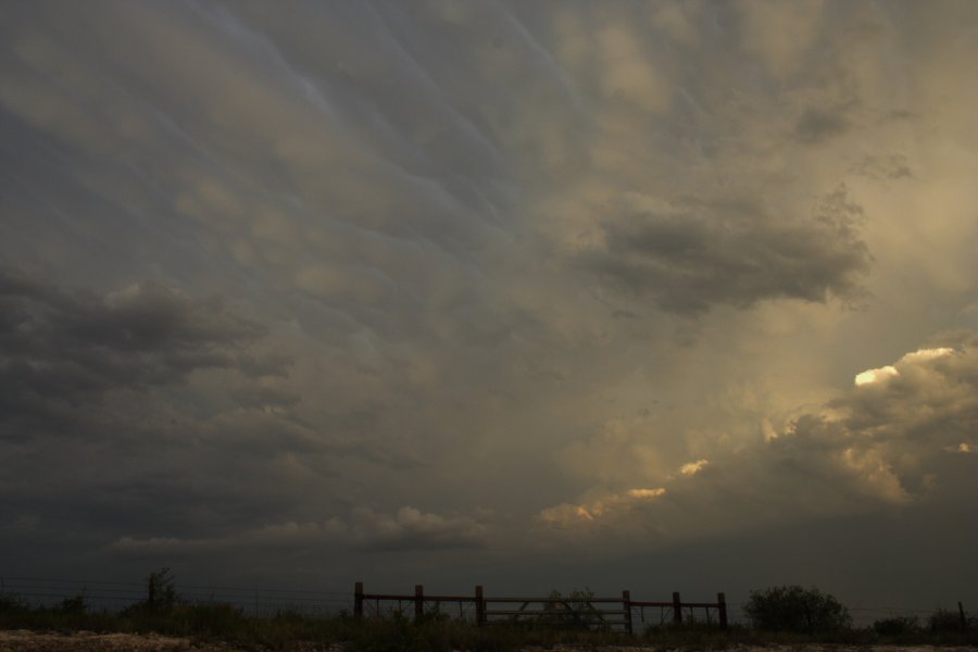 mammatus mammatus_cloud : Del Rio, Texas, USA   14 May 2006