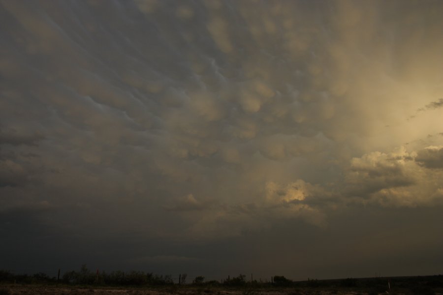 mammatus mammatus_cloud : Del Rio, Texas, USA   14 May 2006