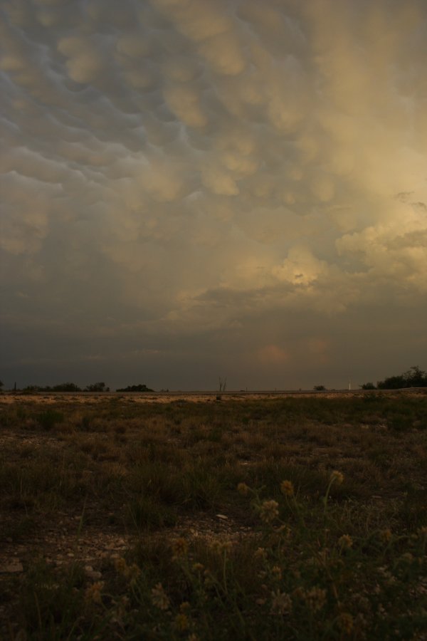 mammatus mammatus_cloud : Del Rio, Texas, USA   14 May 2006