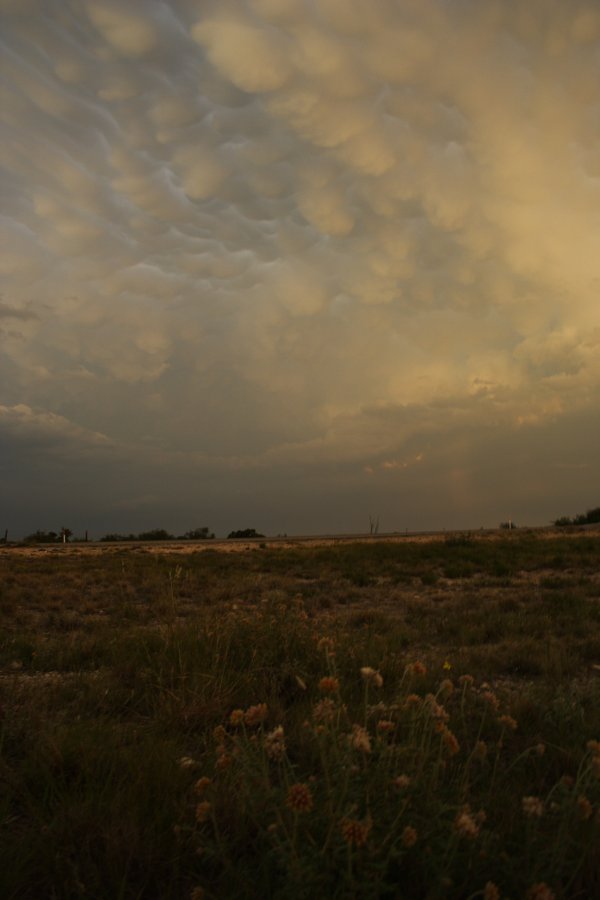 mammatus mammatus_cloud : Del Rio, Texas, USA   14 May 2006