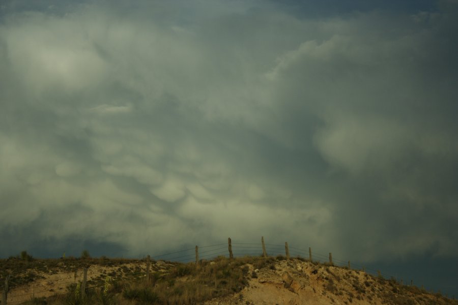 mammatus mammatus_cloud : S of Guymon, Oklahoma, USA   21 May 2006