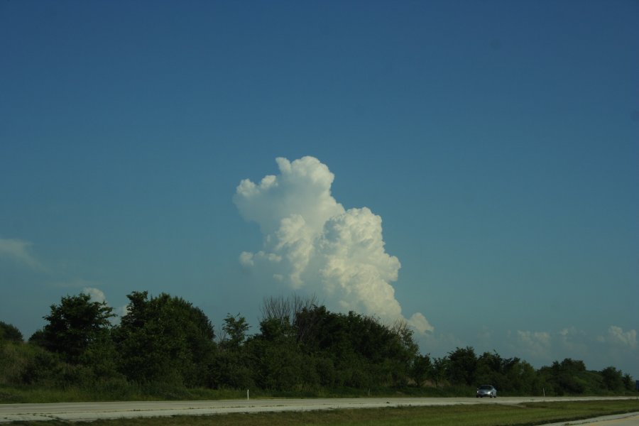 thunderstorm cumulonimbus_calvus : Kansas City, Kansas-Missouri border, USA   24 May 2006