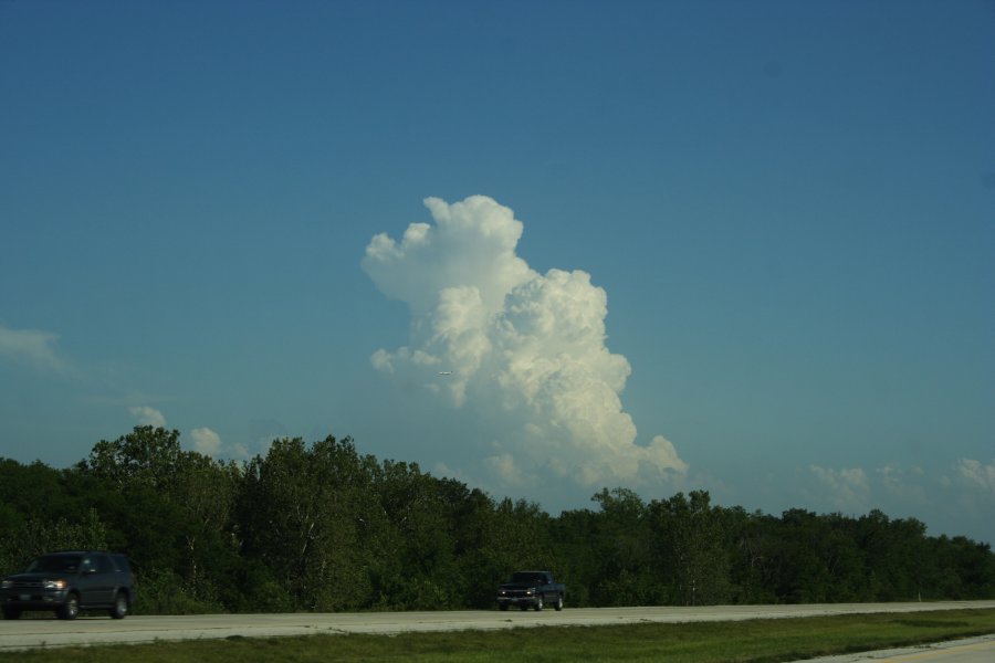 thunderstorm cumulonimbus_calvus : Kansas City, Kansas-Missouri border, USA   24 May 2006