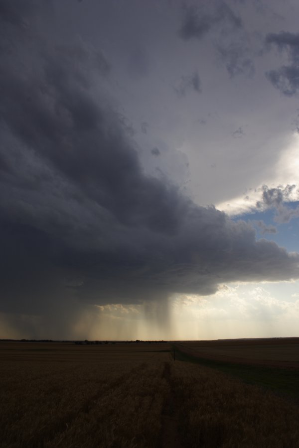 cumulonimbus thunderstorm_base : E of Woodward, Oklahoma, USA   25 May 2006