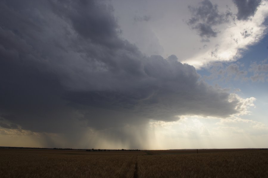 cumulonimbus thunderstorm_base : E of Woodward, Oklahoma, USA   25 May 2006