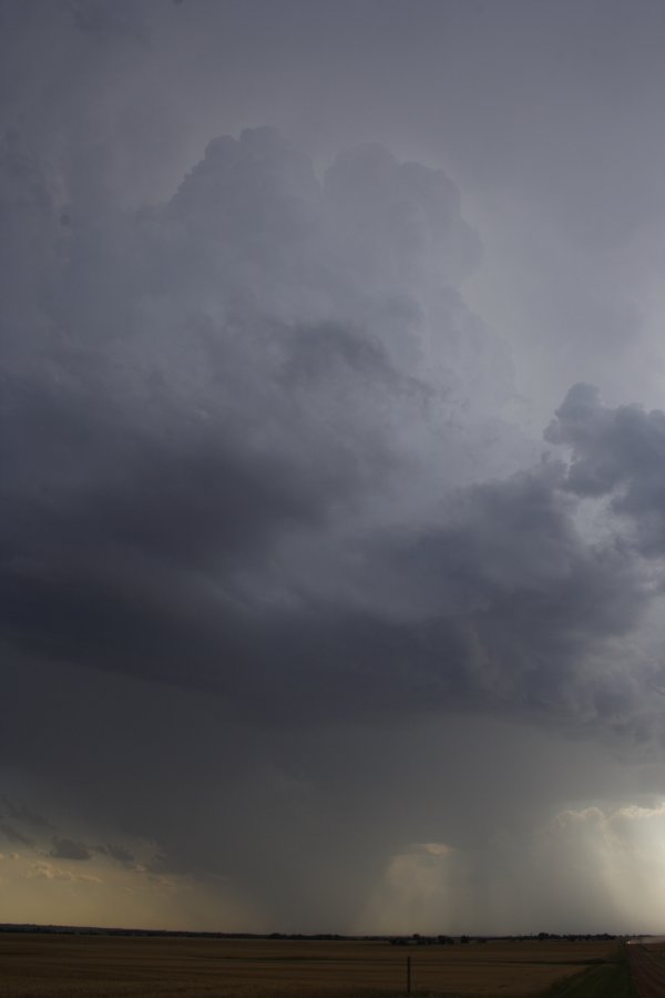 thunderstorm cumulonimbus_incus : E of Woodward, Oklahoma, USA   25 May 2006