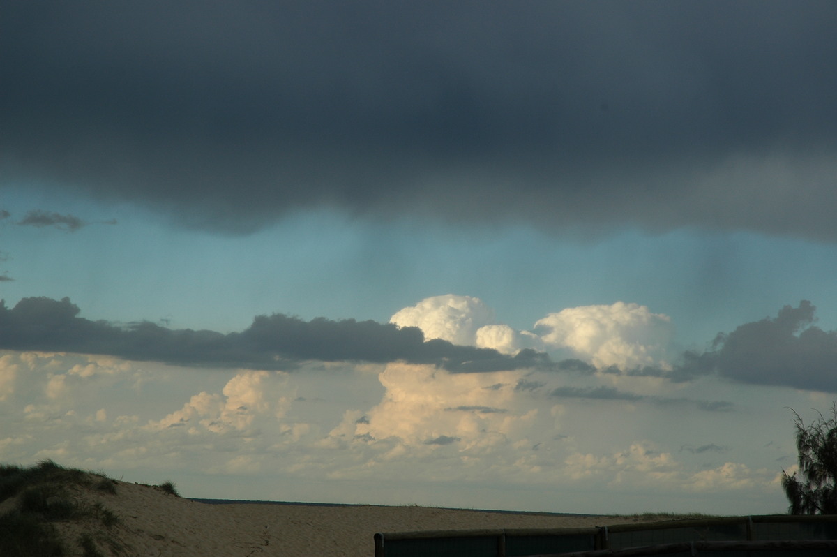 cumulus congestus : Currumbin, QLD   28 May 2006