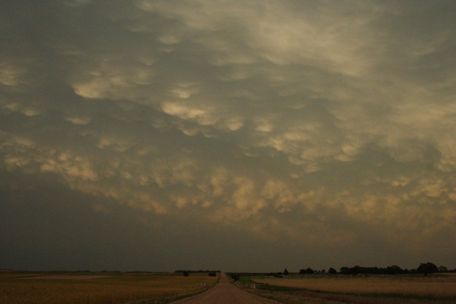 mammatus mammatus_cloud : SE of Kinsley, Kansas, USA   29 May 2006